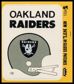 77FTAS Oakland Raiders Helmet.jpg